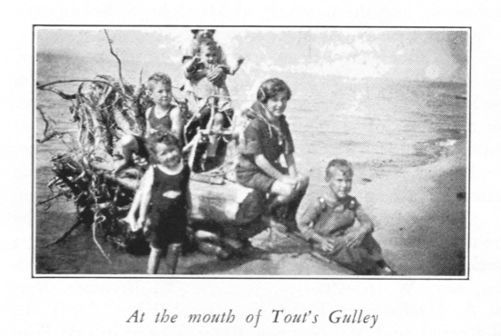 At the Mouth of Tout's Gulley.jpg