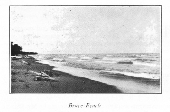 4 Bruce Beach.jpg
