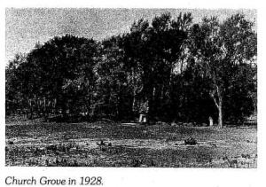 Church Grove in 1928.jpg