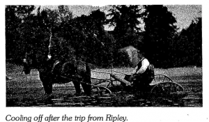 Cooling off after the trip from Ripley.png