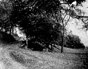 Resting on the McCosh Hill.png